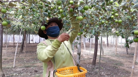 HU JIEN MEK TAME GLAONG MENG BEIN PALA BAOH JADAR 