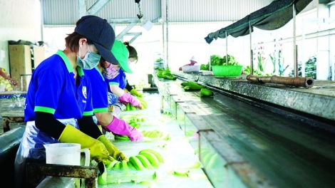 Dak Lak tơbleăng inâi mâu tơdroăng tơkêa bro mơhnhôk mơ’no liăn