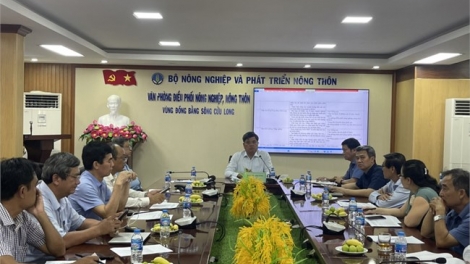 ពត៌មាន​ម៉ោង៦