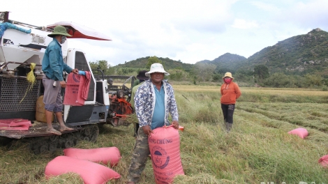 PAMBUAK GAUK NGAK DAONG KA BHAP BINI BANGSA TAKIK YAM TAGOK