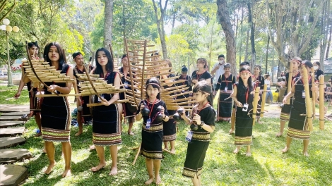 Tiếng đàn goong