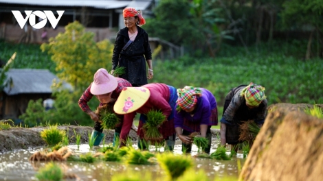 MÙ CANG CHẢI HÂN PA HOOI ĐÁC