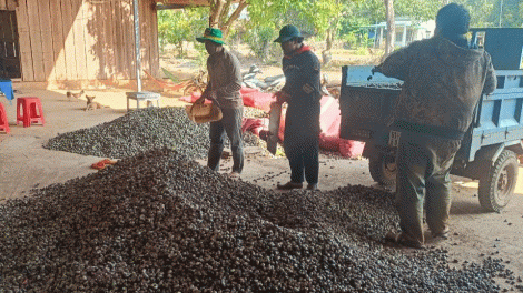 PA-AOK BLAIT BINH PHUOC, MAKHUT BINH DUONG KHAT LAHIK KAYUA LANGIK PANDIAK BHANG 