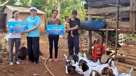 Dak Lak tăng cheăng kâ ăm vâi kơdrâi hdroâng kuăn ngo