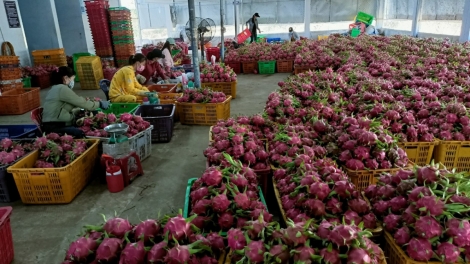 BINH THUAN NGAK HAGAIT PIAH CAKROK KHANG KAJAP PHUN THANH LONG?