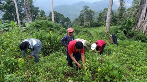 PR’ĐƠỢ PA DƯR TƠƠM ZA NƯƠU ĐHỊ ZR’LỤ ĐHANUÔR ACOON COH LÂNG DAIDNG CA COONG