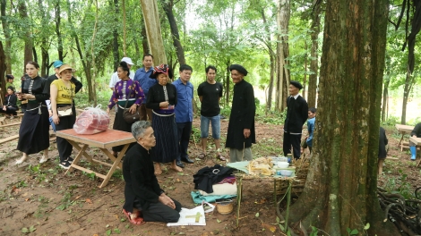 Lầy tzình  phát sinh ìu miền vả hoi 15.6.2024