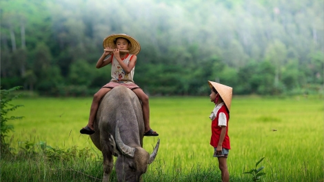 CHƯƠNG TRÌNH KHAY HENG TÀY - NÙNG (Thứ Ba, vằn 11 bươn 6 pi 2024)