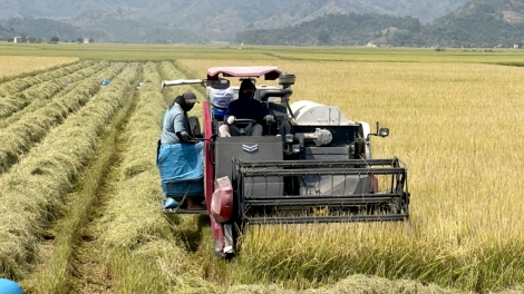PA DƯR CHR’NĂP HA ROO CHA NEH ĐHỊ ĐẮK LẮK
