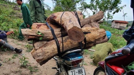 Mơdêk rak ngăn kong pơkong achê tơkăng kong Gia Lai 