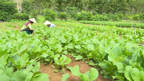 Kon pơlei choh jang sa Sơn La tĕch tơmam drăm hlot kơtang gơnơm tơgoăt jang hơdoi