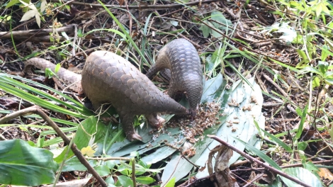 Đắk Lắk: Hơchăng 7 tŏ sem tơrong bri brăh kăp gĭt vih hăm cham char bri brăh 