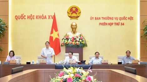 P’CĂH QUỐC HỘI DỰ THẢO NGHỊ QUYẾT PA XIÊR 2% THUẾ GIÁ TRỊ GIA TĂNG TƯỚC T’NGAY 31/12/2024