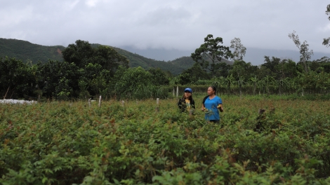 ĐHANUÔR DA DING CA COONG ĐÔNG GIANG HA DƯR TƠỢ BHRỢ BHƯƠN