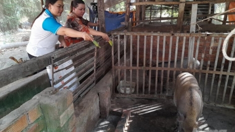 BRUK RAONG PABUI GLAI LAI LAGAIH HAONG BRUK NGAK DALAM SANG PAK TRÀ VINH