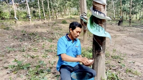 Việt Nam kơchăng jang kiơ̆ “Tơdrong hơgăt tang găn phă bri” đơ̆ng Jơnŭm Châu Âu