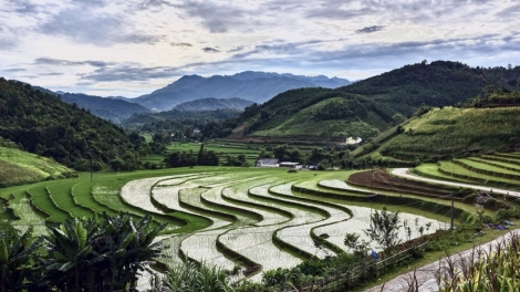 TET ‘KHOĂN VÀI”, IEU SUAN KUBAO DI URANG TÀY - NÙNG