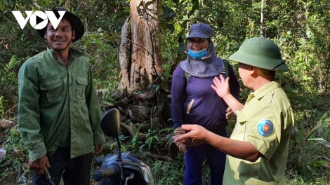 BÌNH ĐỊNH LÊY CHÔ TƯỚC BHIỆC PA CÂL TÍN CHỈ CARBON, BHRỢ PA DƯR PR’ẮT TR’MUNG HA ĐHANUÔR K’COONG CH’NGAI