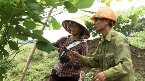 Cái diên phổng – choi dừa bón nhăng cặt cung khòng  bản mương khảm khói đảy cặt cung