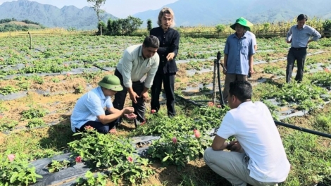 TƠƠM ZA NƯƠU T’VAIH C’LÂNG Z’LÂH ĐHA RỰT ĐOỌNG HA ĐHANUÔR A LƯỚI