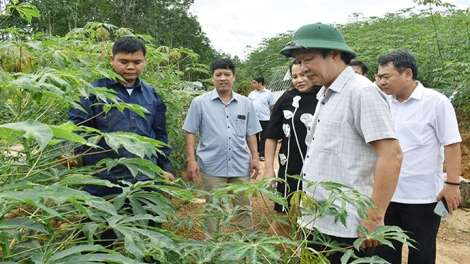 BÍ THƯ TỈNH UỶ THỪA THIÊN HUẾ LÊ TRƯỜNG LƯU LƯM LÊY ZÂP BH’RỢ NÔNG NGHIỆP LIÊM CHOOM BƠƠN BH’NƠƠN DAL ĐHỊ CHR’HOONG NAM ĐÔNG