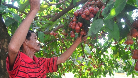 ĐÔNG GIANG XAY BHRỢ LIÊM CHOOM BẤC CƠ CHẾ, CHÍNH SÁCH