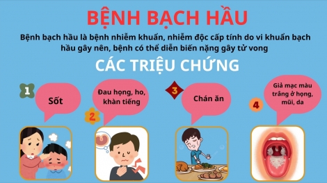 TẢNG LÀN PỈNH BẠCH HẦU