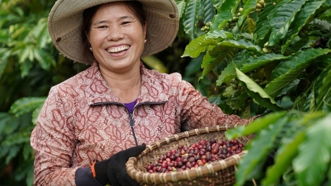 Tâm rgop kơl  hợp tác xã ndâk njêng ndơ moh ntoh lư 