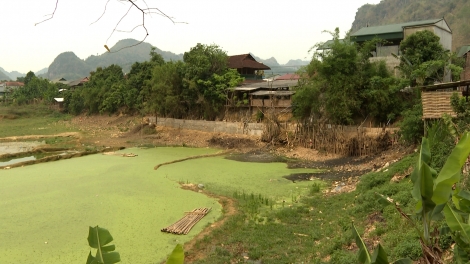 Lầy tzình  phát sinh ìu miền vả hoi 24.7.2024