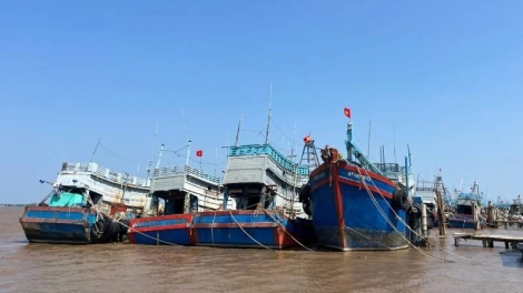 TAPEN IKAN SAONG LABIK PATAOK GILAI IKAN  PLAIK NJIAK RIBUK