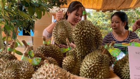 VOV pơgôp pơhiăp hrŏm djop tơring čar kual Dap Kơdư kơ bruă čuk jơlan rơdêh đuăi hmar