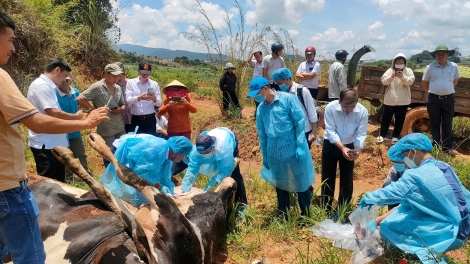 Tơring čar Lâm Đồng hmâo hră lăi pơthâo ječ črâo ba tơlơi rơmô brung djai ha amăng plĕ 