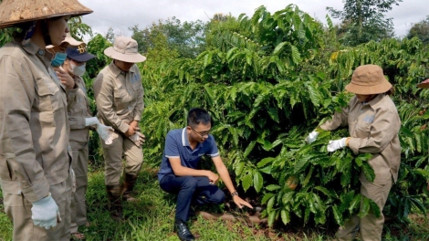 Cheh phe Đắk Lắk gô pơm lăp hăm tơdrong hơgăt tang găn kŏh phă bri đơ̆ng Jơnŭm châu Âu