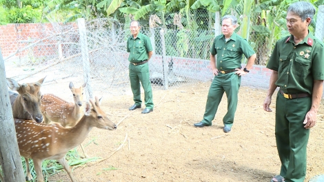 Ngon tô thứ 5 mự 01 căm bườn 8  pì 2024 –  Há phong : “ Cựu chiến binh ven xanh” nẳng Gia Lai: Púc chuân quảng tua pưng luông chang dệt dượn