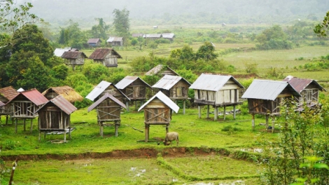 Tơdrong hơri brông