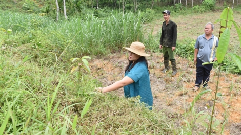 NAM ĐÔNG (THỪA THIÊN HUẾ): LÊY CHA MÊẾT BHƯƠN ƯƠM TƠƠM QUẾ LÂNG ZÂP ĐHỊ K’TIẾC CHÓH QUẾ CÓH VEL ĐÔNG