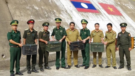 PA ĐƠP ĐOỌNG M’MA BH’NĂN LÂNG PR’HÊL HA APÊÊ VŨ TRANG LÂNG ĐHANUÔR, HỌC SINH ZR’LỤ C’NOONG K’TIẾC VIỆT NAM - LÀO