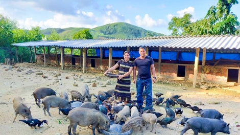 QUẢNG NGÃI BHRỢ P’CĂH CR’NOỌ LƯỚT CH’MÊỆT LÊY ĐỢ PR’LOỌNG ĐONG ĐHARỰT, ĐĂN ĐHARỰT C’MOO 2024