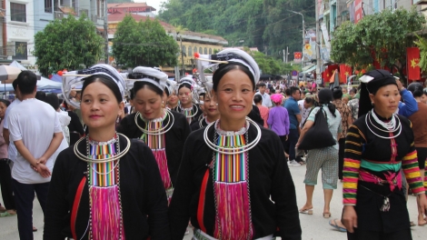 CỎ LẺ PÀI SLẤN MIỀU MẢU CÚA CẦN SÁN CHỈ