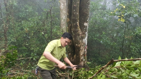 BÌNH ĐỊNH BHRỢ ĐONG MÁY BHRỢ TRÀ “TIẾN VUA” ĐHỊ CHR’VAL DA DING CA COONG AN TOÀN