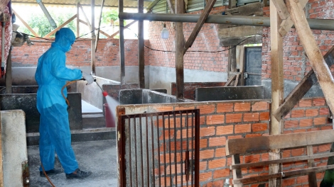 Ƀuh hơmâo dơ̆ng anih klin pơtah čroh ƀơi un, bơbui či plơi prong Ƀuôn Ma Thuôt, Dak Lak