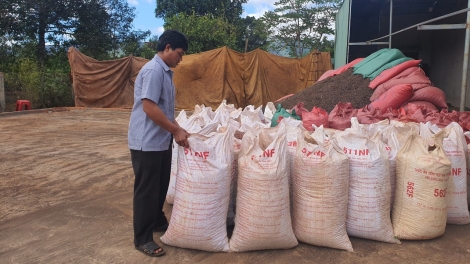 Hrĭng rơpâu ngế ki xahpá a kong pơlê Gia Lai mơ-eăm hlŭn ing kơtiê