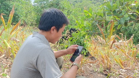 Pơtrŭt tơplih kơsô̆ lơ̆m choh jang sa, tơring tơrang tơ̆ Kon Tum 