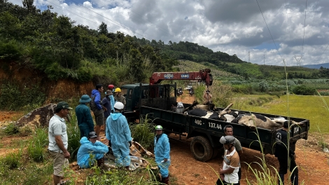 Ndâk nau kan kơl an trok tâm ân nau khuch khĭt ndrôk sŏk dak toh