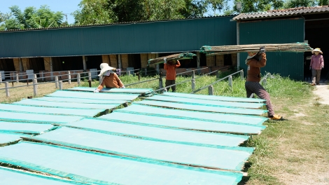 ZÊN VẶ T’ĐUI ĐOỌNG ZOOI ĐHANUÔR QUẢNG NGÃI Z’LÂH ĐHA RỰT