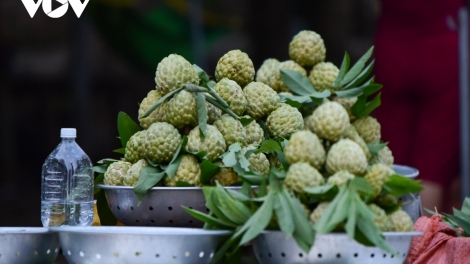 XẠ CHI LĂNG: TẲNG CÓ BẢN CỎN MẤƯ TỨ CHAY CO MÁC NA