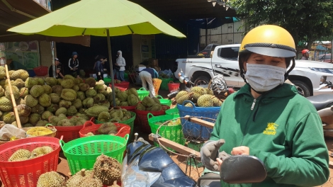 Sầu riêng Đắk Lắk ta năp nău ntul rlomg mpeh săk kah yor mih têh jŏ khay