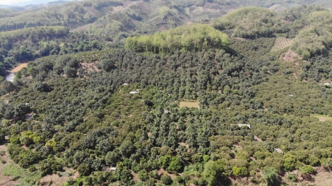 Tsaz yênhx nta suôz luk Hmôngz hnuz 21-8-2024