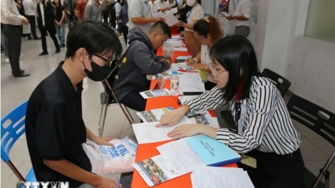 PASAK DICH VU BRUK NGAK BAN RAYA HCM BAHRAU PEIH SAN JAO DICH BRUK NGAK PAMBUAK BHUM DI BAN RAYA HAONG DOM TINH, BAN BHUM ĐBSCL SAONG DOM TINH, BAN JAIK TAPHIA