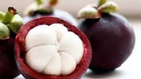 Danak dak sap Cam 15_08_2024